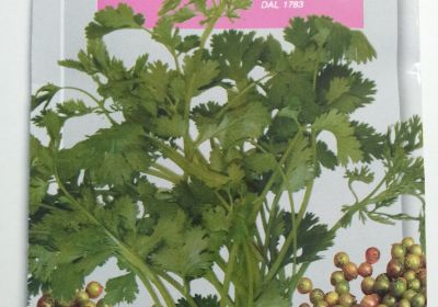 Coriander- Coriandolo (DBA 44-1) 