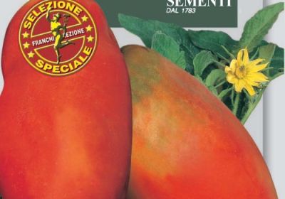 Tomato- Pomodoro San Marzano special Redorta (DBOS 106-94)