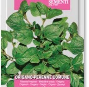Oregano-Perennial Majoram 94-1