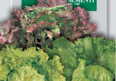 Misticanza Lattaghe- Crispy Lettuce  (93-23) 