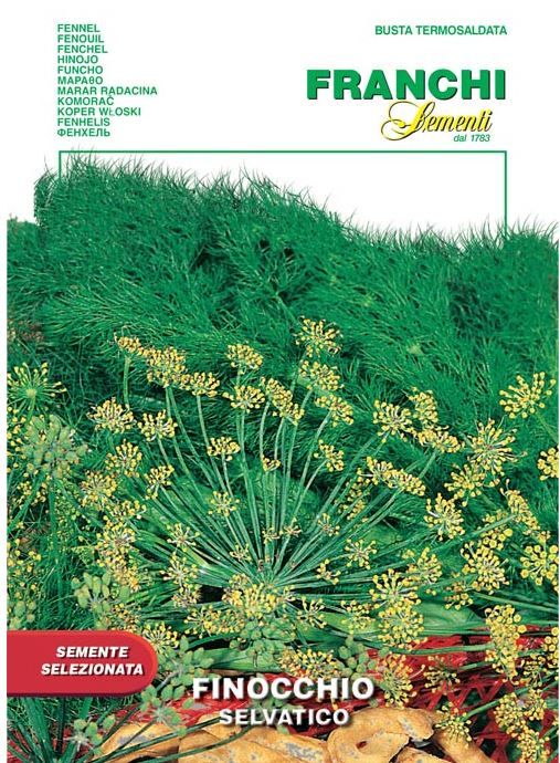 Wild_Fennel.jpg